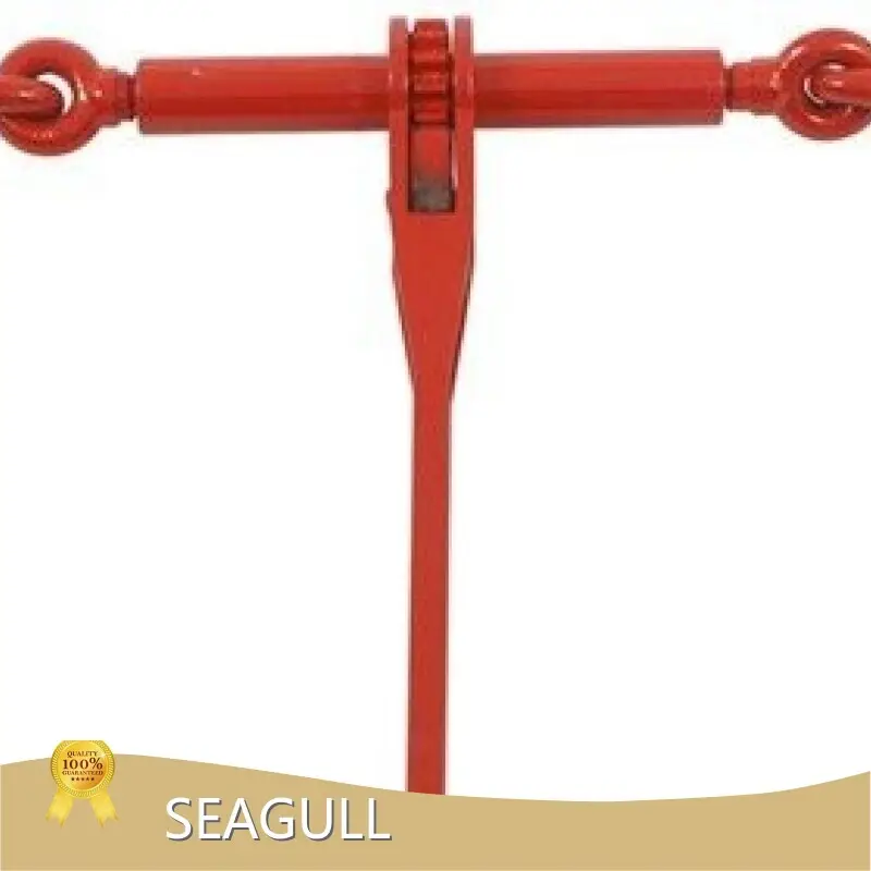 Wholesale Manual Chain Lift for Petrochemical 1