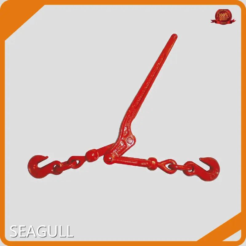 Reliable Hand Hoist for Hospital 1