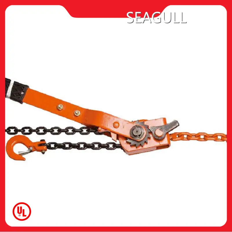 Low-costhand Hoist at Sale 1