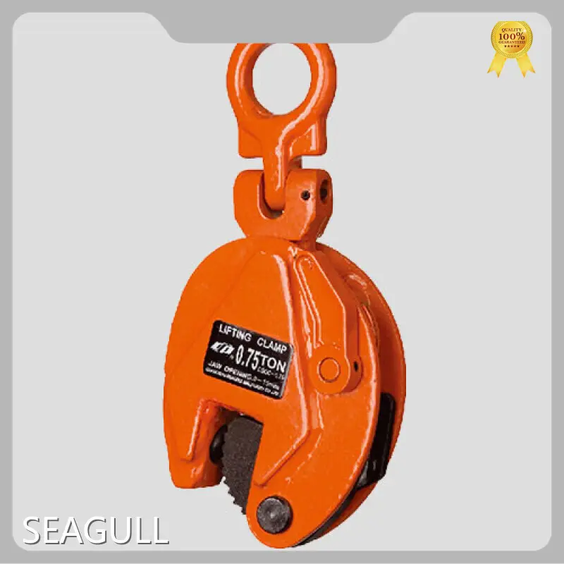 Hand Hoist with Good Price for Different Industries 1