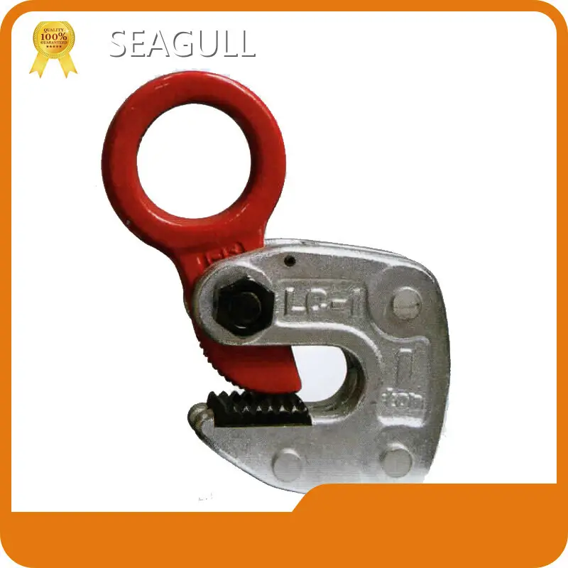 Top Selling Manual Chain Lift Manual Chain Lift Company 1