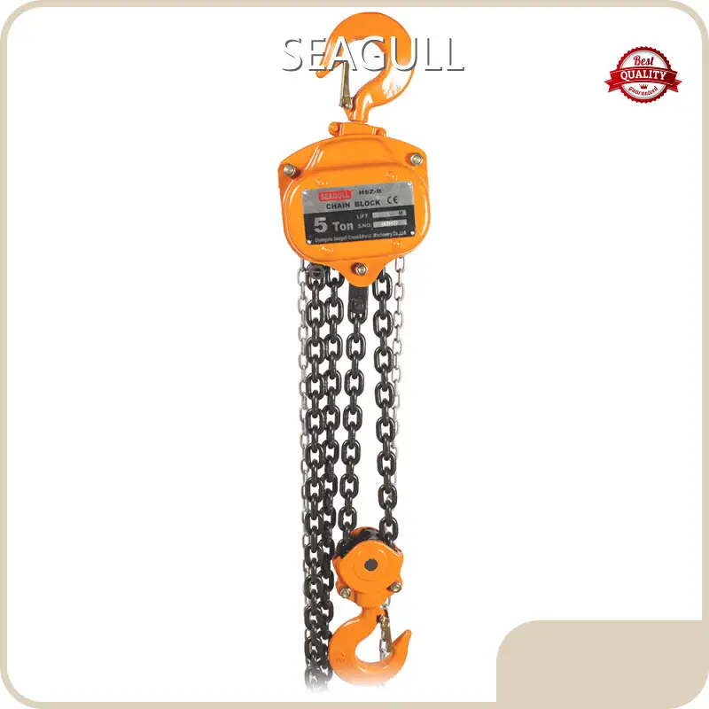 Professional Hand Chain Block Price List 1