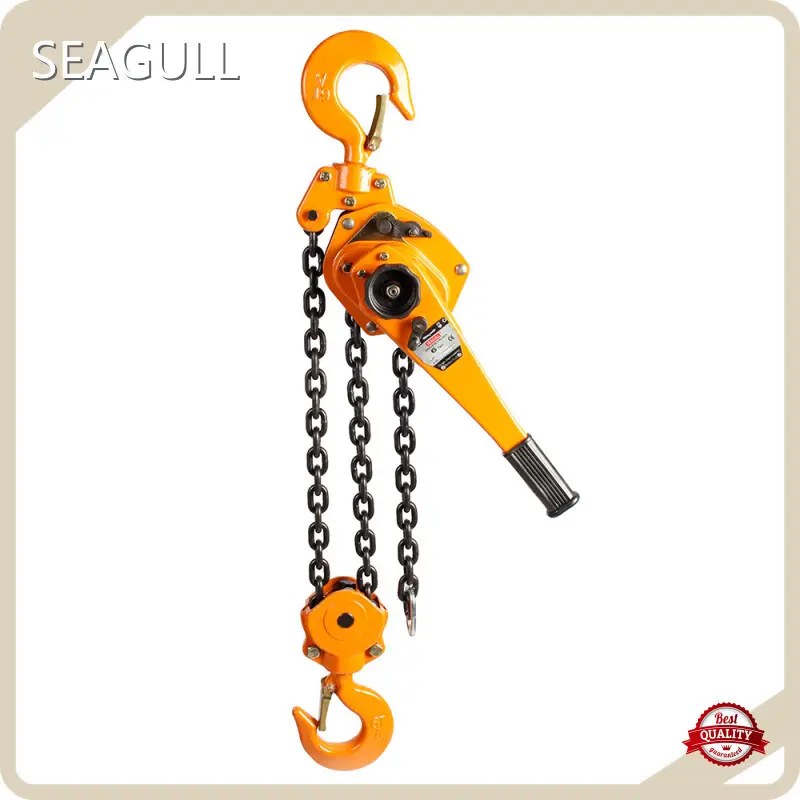 SEAGULL Manual Lever Block with Good Price 1