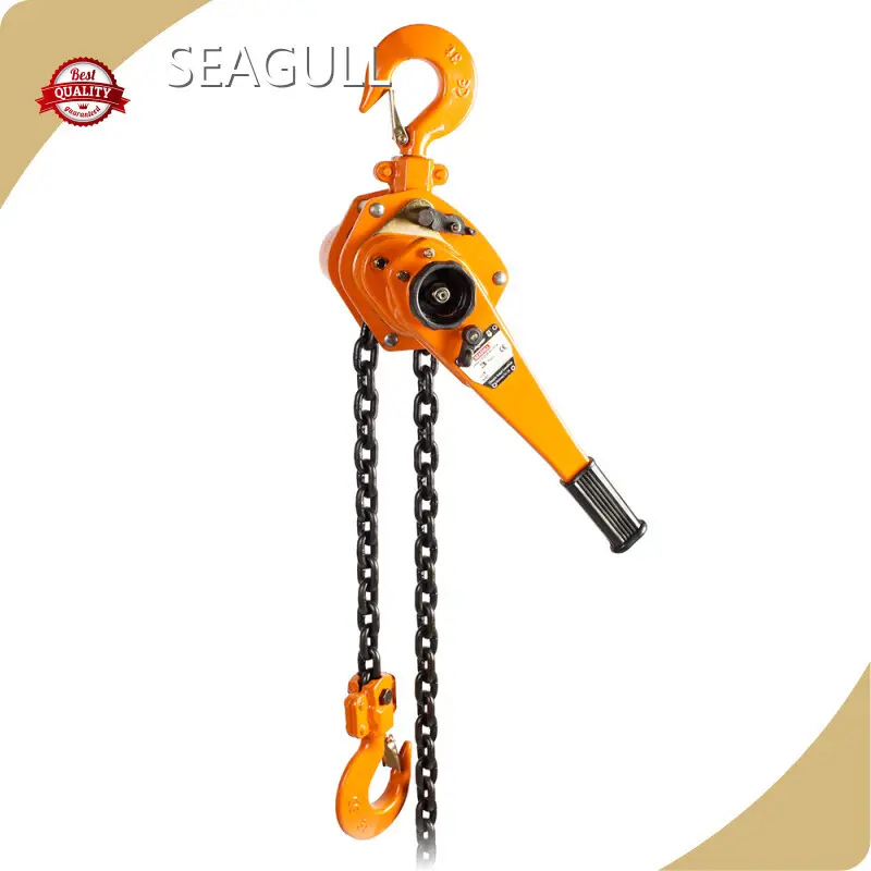Manual Chain Lift for Petrochemical Directly Sale 1