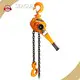 Manual Chain Lift for Petrochemical Directly Sale 1