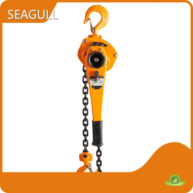 Chain Block Lever for Petrochemical Upply 1