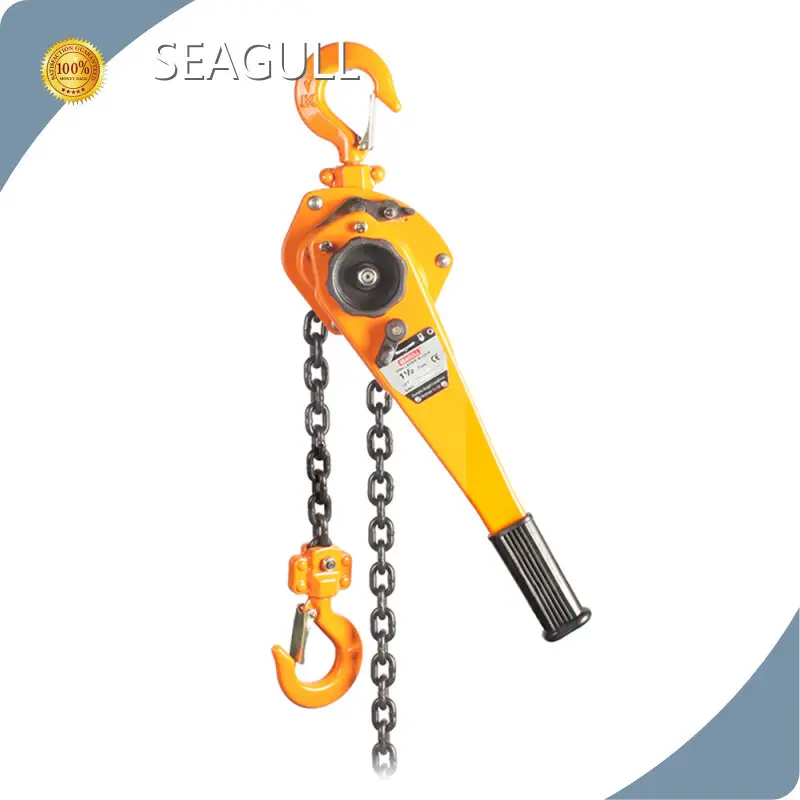 Best Price Hand Chain Hoist Bulk Production 1