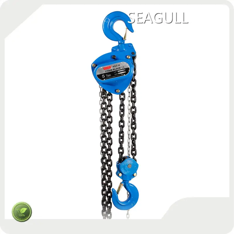 Best Price Manual Chain Lift Manufacturing for Military Camp 1