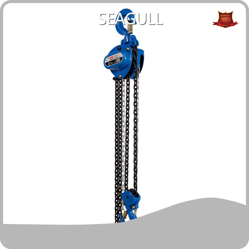 Manual Chain Block Personalized 1
