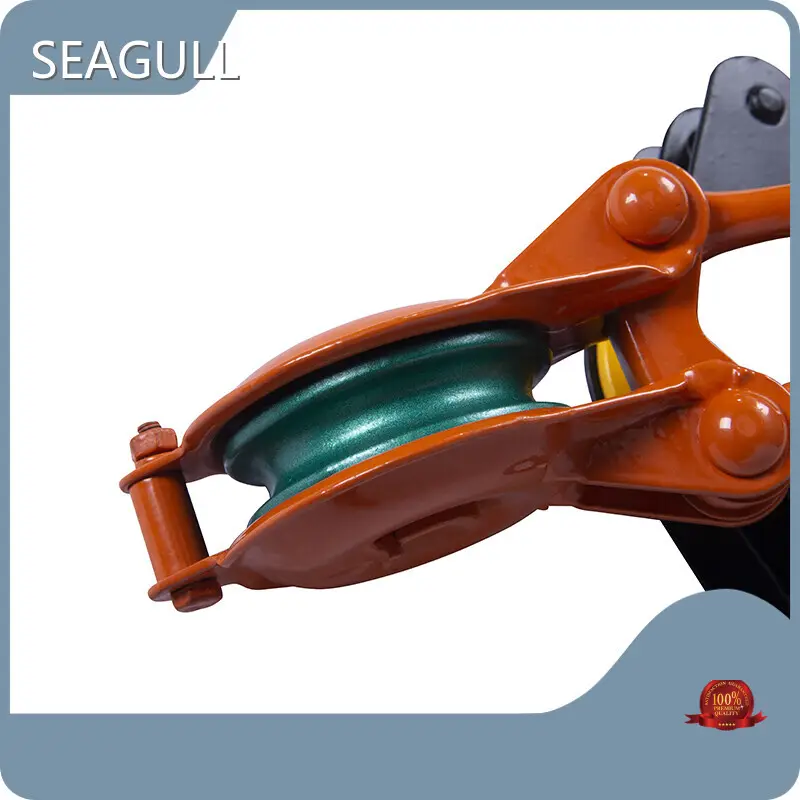 Durable Manual Chain Lift Price List 1