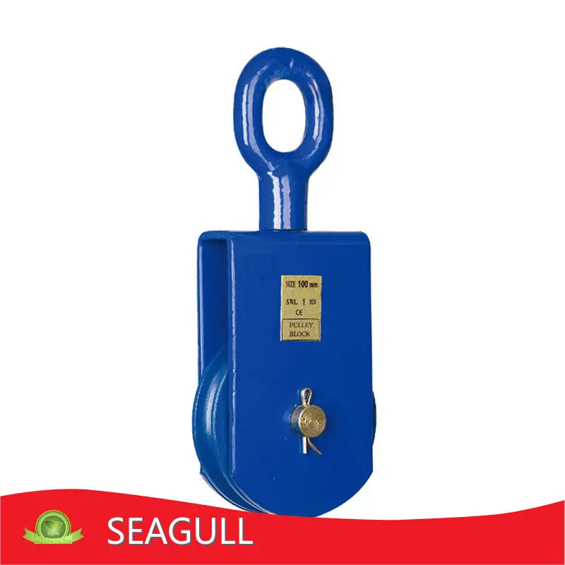 Hand Chain Hoist for Sale Upplier 1