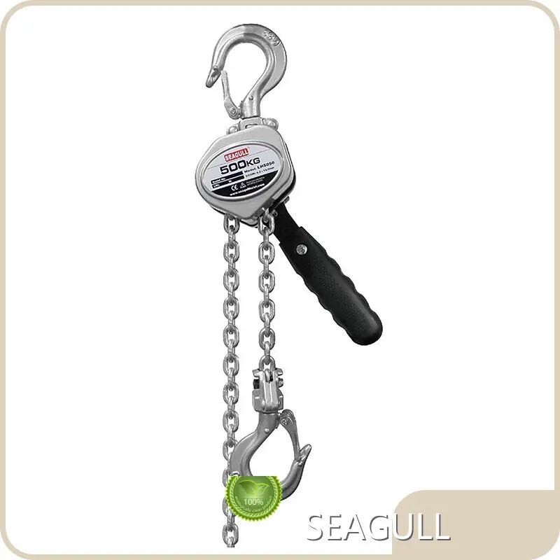 Safe to Use Lever Ratchet Hoist for Military Camp 1