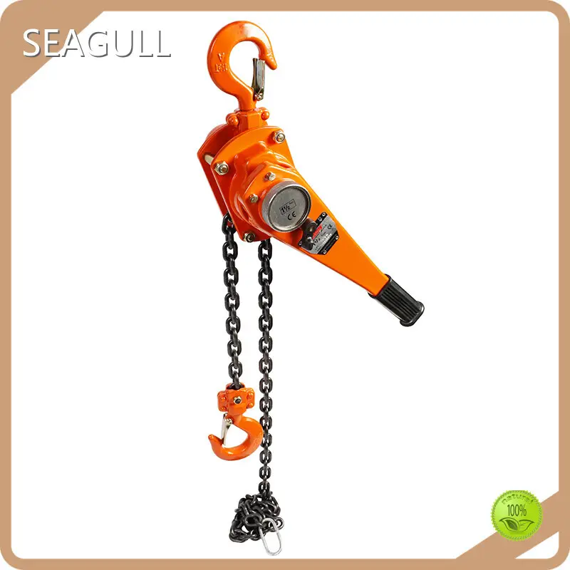 Worldwide Manual Chain Hoist Company for Business 1