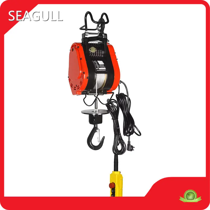 SEAGULL Electric Hoist on Trolley with Custom Services 1