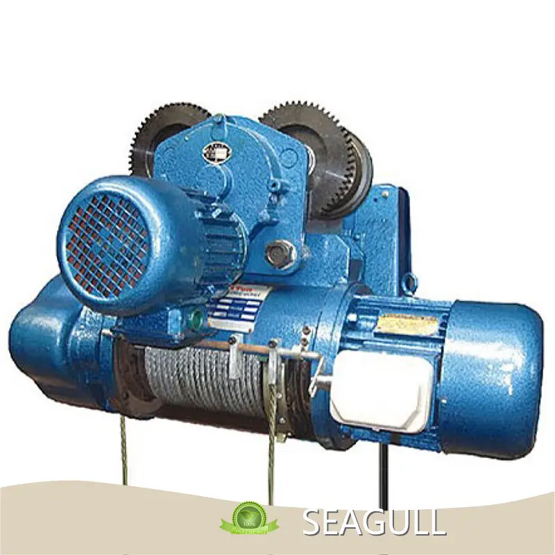 Best Price Wire Rope Electric Hoist Manufacturers Factory for Hospital 1