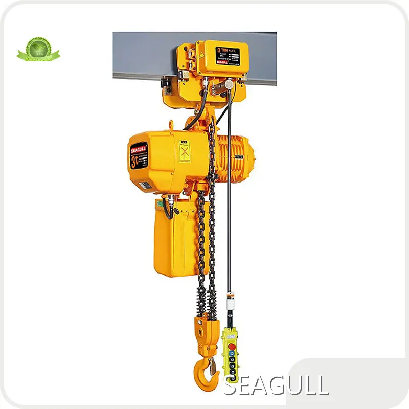 Highly Rated Hand Hoist Personalized Company 1