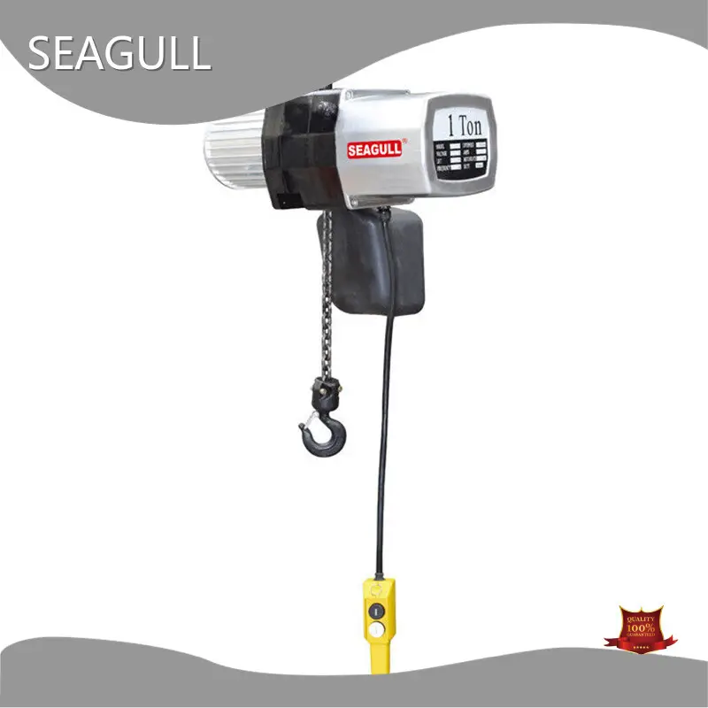 Cost-effective Hand Chain Hoist Price List 1