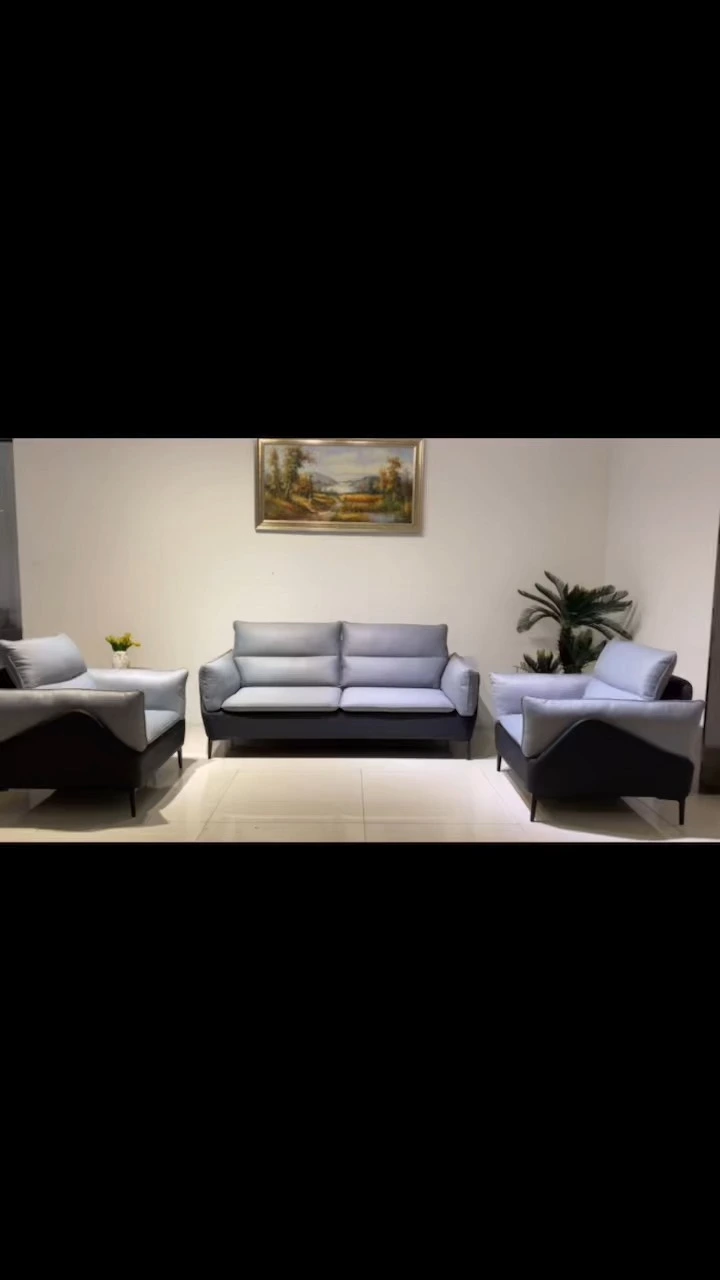 A leisure sofa with cloud level seating experience （S5293） 1