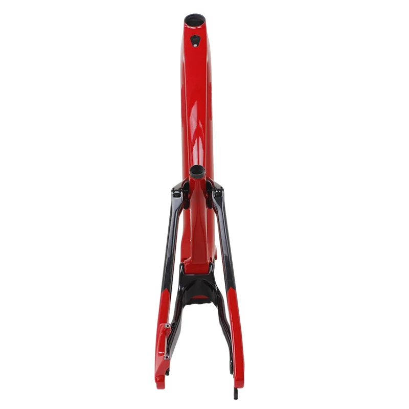 Carbon Fiber Road Bike CEF50 Pinaworkshighly Rated 3
