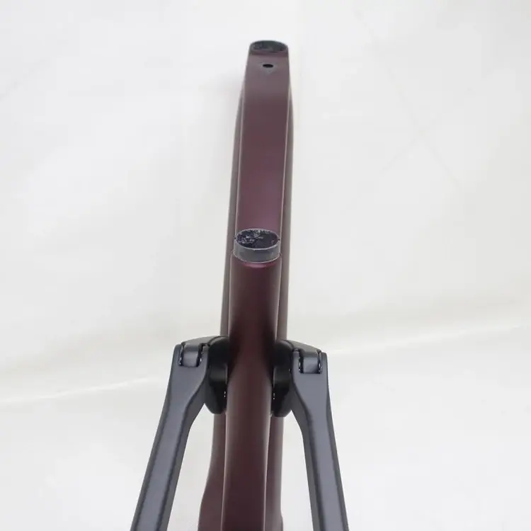 Bulk Productione Bike Scooter Company CEF50 Pinaworks 6
