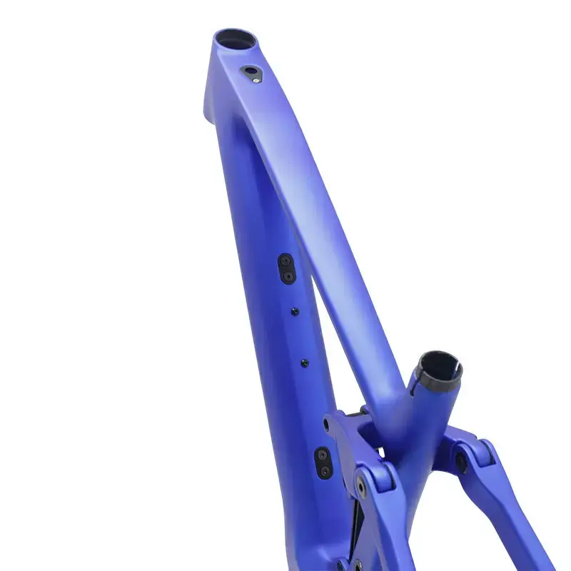 Professional E Bike Frame at Sale 4