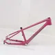 Stablediy Carbon Fiber Bicycle Frame Bulk Supplies 2