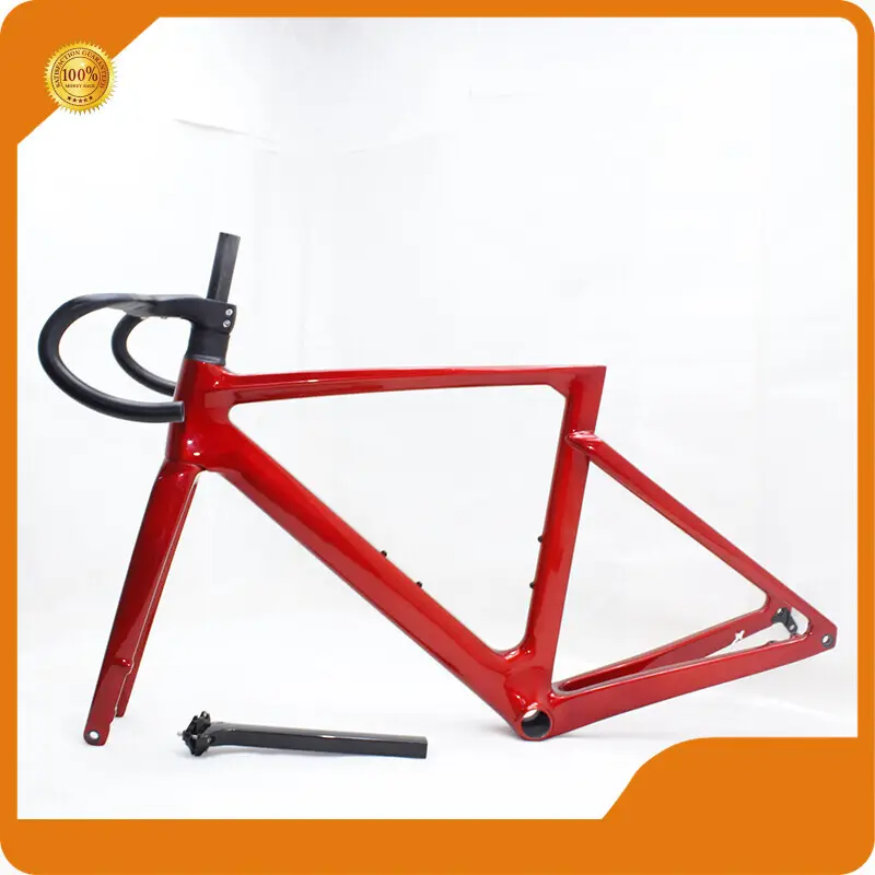 Disc Brake Road Bike Frame - for Sale - ZSZT 1