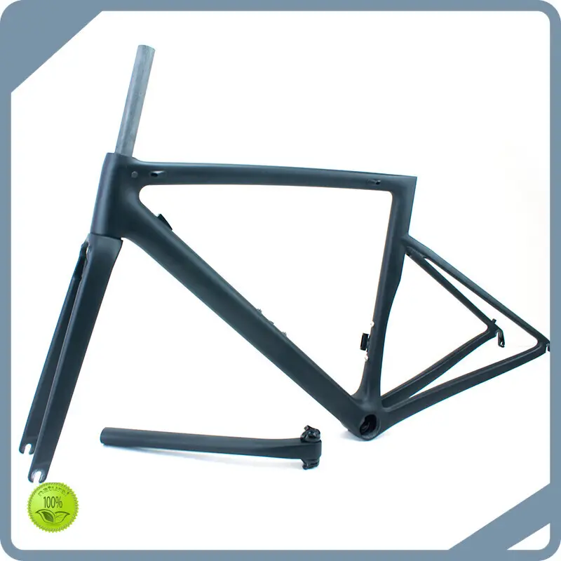 Worldwidegiant Carbon Fiber Frame Fast Delivery 1
