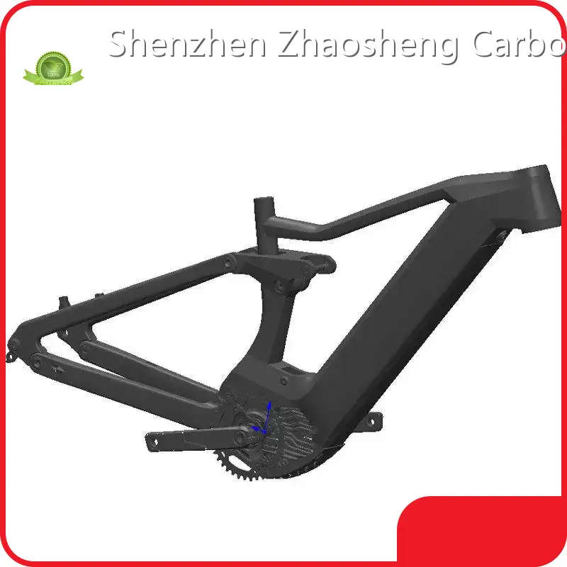 Carbon Frame Ebike Made in China for SaleUD 1