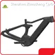 Carbon Frame Ebike Made in China for SaleUD 1