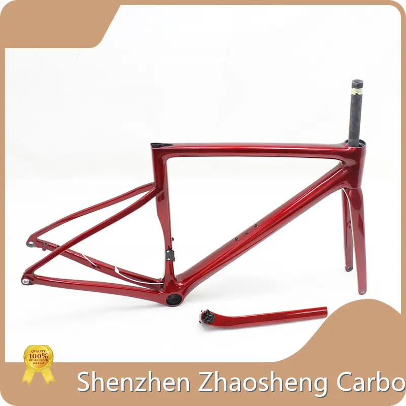 Carbon Fiber Road Frame - for Business - ZSZT 1