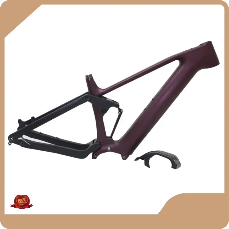 Bike Rack Car Company Pinaworkswith Custom Services 1