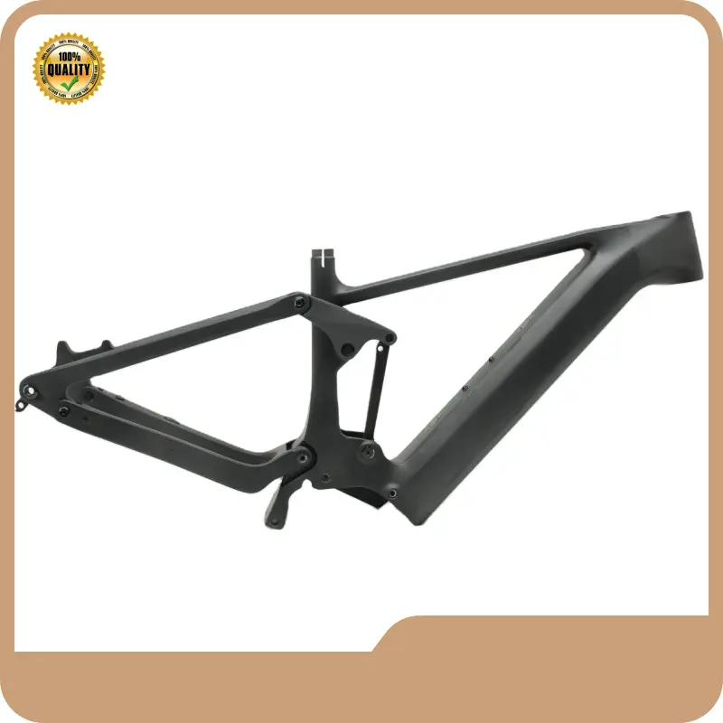 Custom Ebike Frame CEF52 - for Wholesale - ZSZT 1