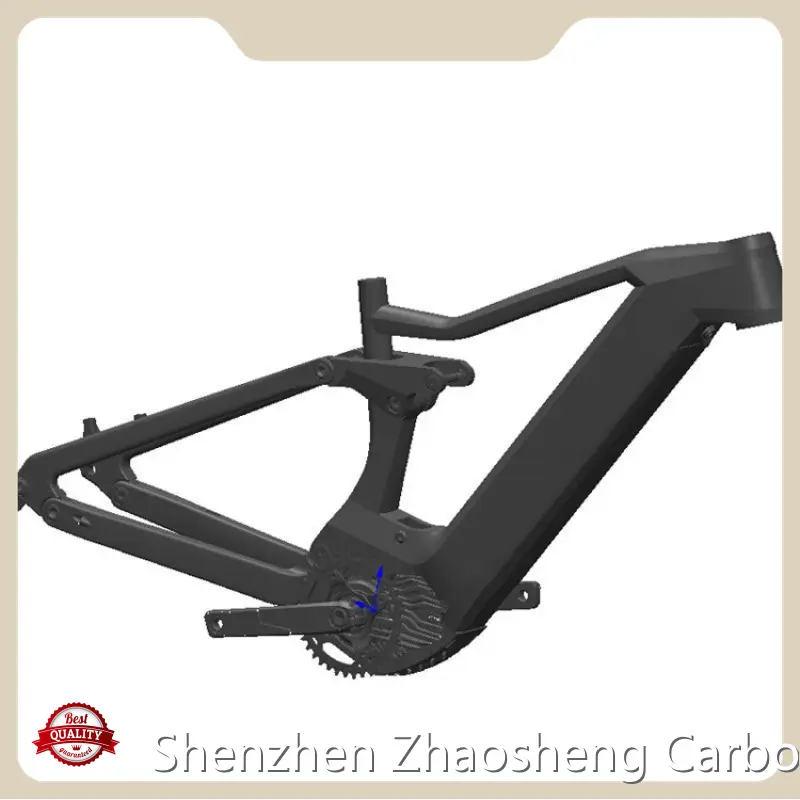 Customizedbest E Bike Conversion Kit for Wholesale CEF49 Pinaworks 1