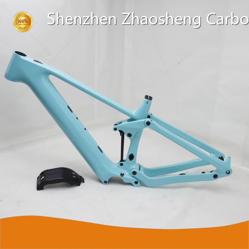 Fast Delivery Bike Store Carbon Frame by ZSZT 1