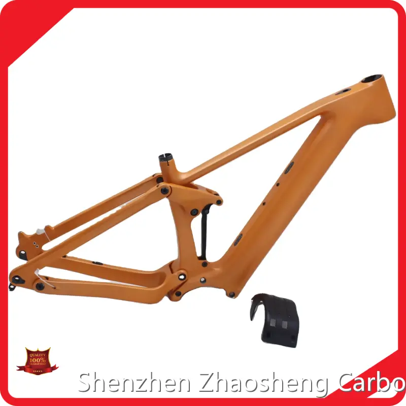 At Sale Carbon Fiber Bike Frame CEF50 by ZSZT 1