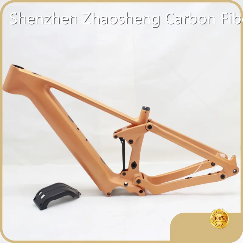 Bulk Supplies E Bike Mtb Frame CEF50 by ZSZT 1