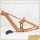 Bulk Supplies E Bike Mtb Frame CEF50 by ZSZT 1