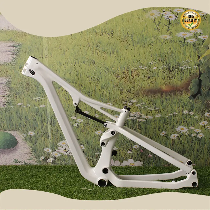 Giant Carbon Fiber Frame Company Vendor 1