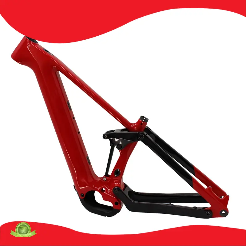 Carbon Fiber Road Bike CEF50 Pinaworkshighly Rated 1