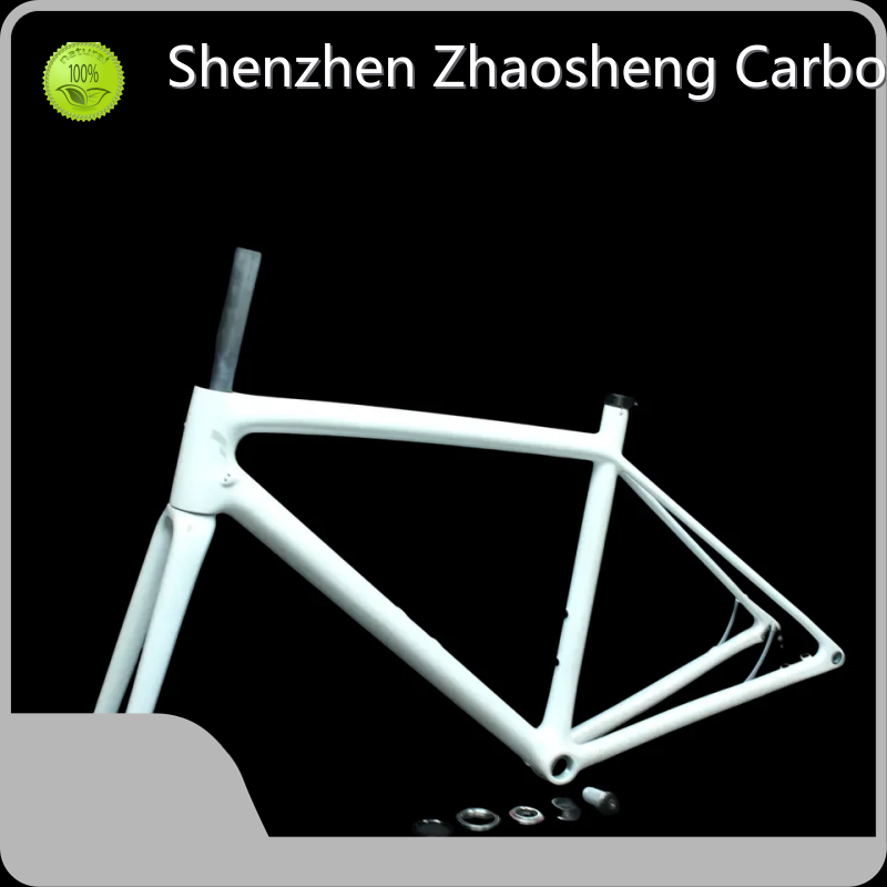 Carbon Fiber Fixie Frame 1-1/8 - Bulk Production - ZSZT 1