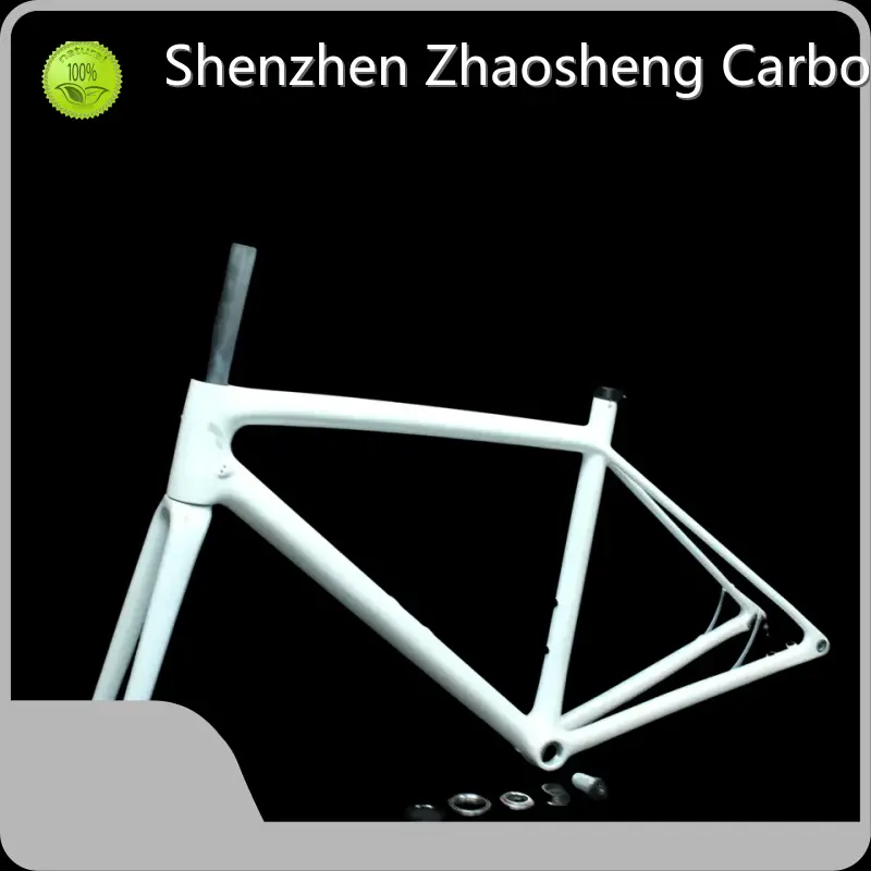 Carbon Fiber Fixie Frame 1-1/8 - Bulk Production - ZSZT 1