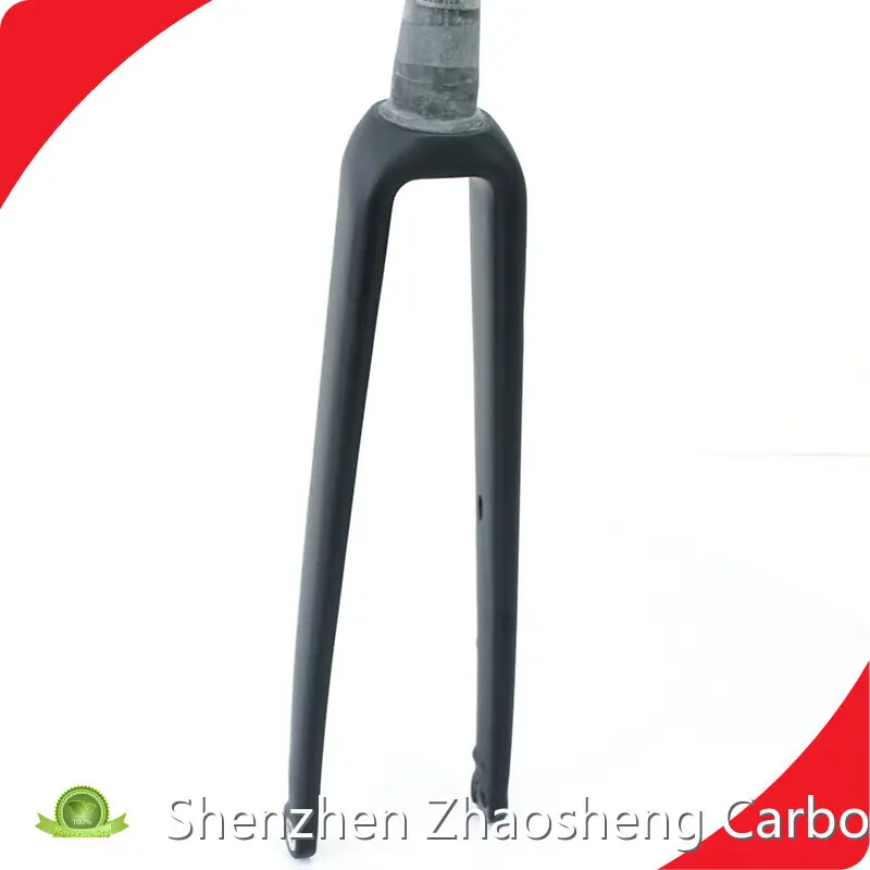 Road Bicycle Fork Highly Rated 1