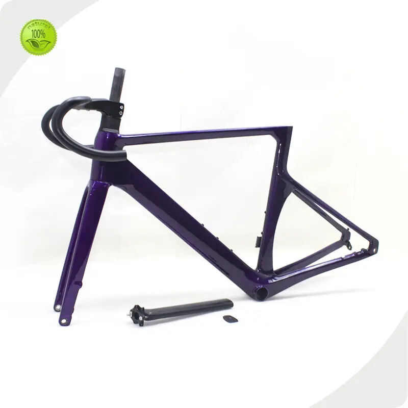 Full Carbon Bike Frame - for Wholesale - ZSZT 1
