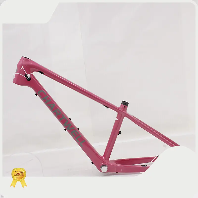 Stablediy Carbon Fiber Bicycle Frame Bulk Supplies 1