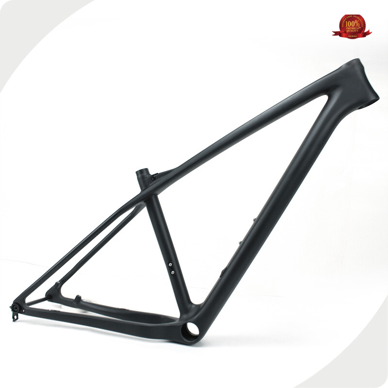Praise Carbon Full Suspension Mountain Bike Frame Supplier Best Brand 1