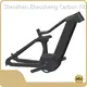 Company Fastest E Bike Carbon T800 Bike Frame Carbon Fiber by ZSZT 1