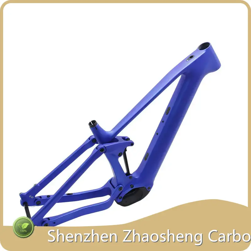 Giant Carbon Fiber Frame Customized Bulk BuyCEF50 1