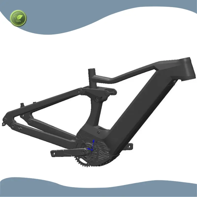 E Bike New Arrival for Businesspinaworks 1