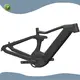 E Bike New Arrival for Businesspinaworks 1